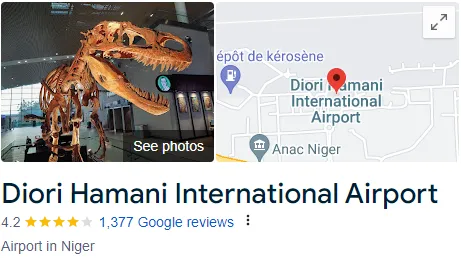 Diori Hamani International Airport Assistance 