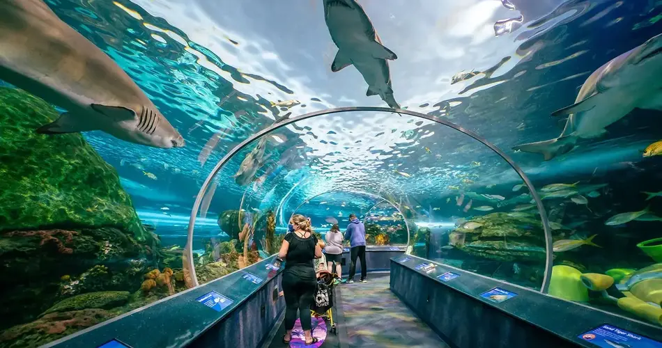 Ripley's Aquarium of Canada