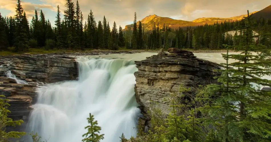 Athabasca Falls