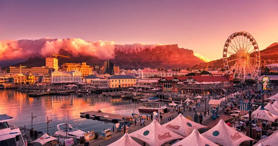 Cape Town Captivation: Unveiling the City Beyond