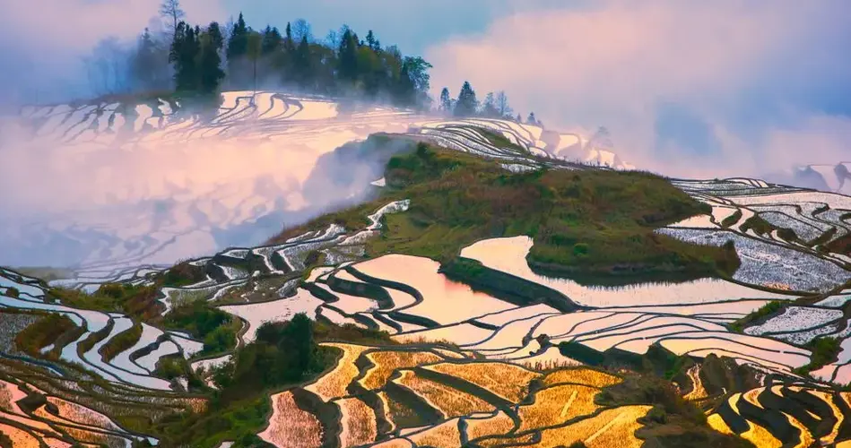 Terraces of Hani