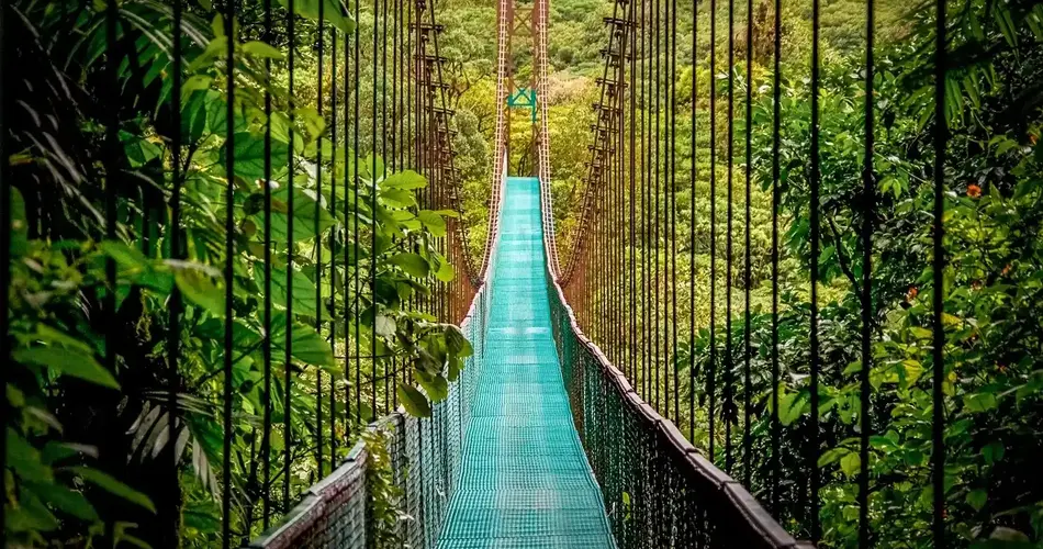 Monteverde Cloud Forest Reserve