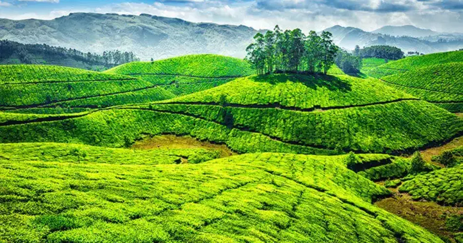 Munnar