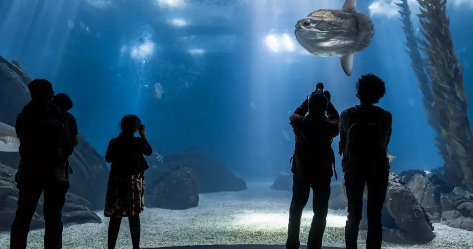 Oceanario de Lisboa