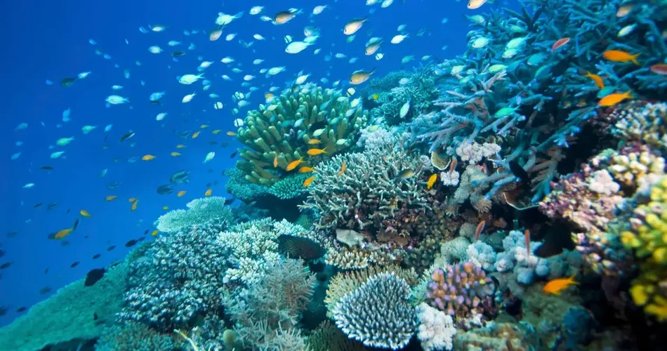 Australia's Great Barrier Reef