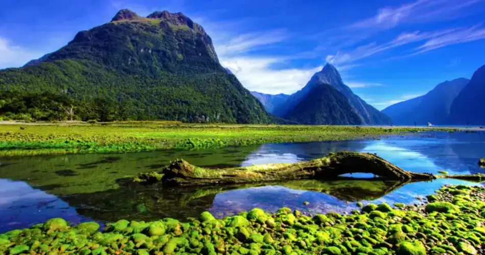 New Zealand's Milford Sound